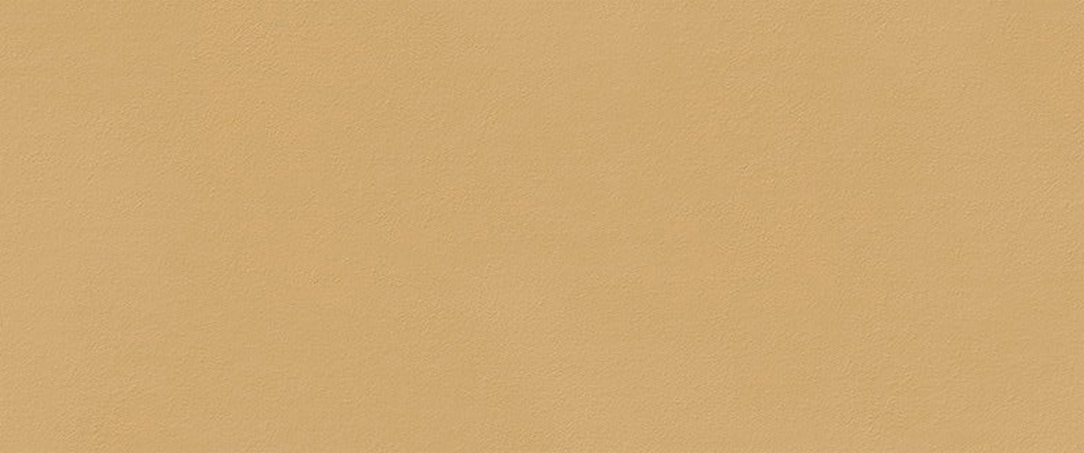 Керамическая плитка True Color Тру Колор Карамель Матовый 50x120