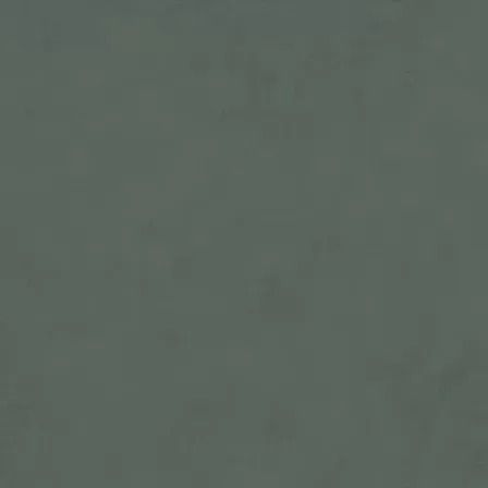  Про Чементо Зелёный Матовый  40.2x40.2