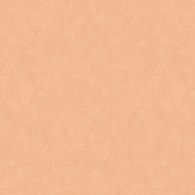 Флизелиновые обои Шейд 1x10.05