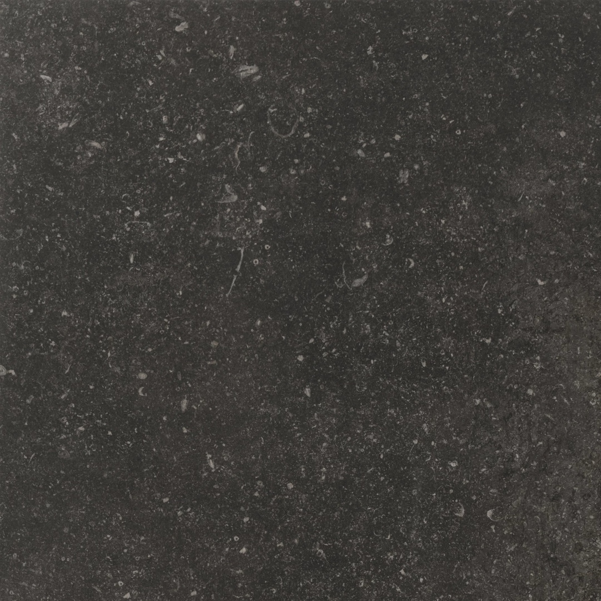 Керамогранит Atmospheres Atmospheres Mister Pat Smooth 80x80