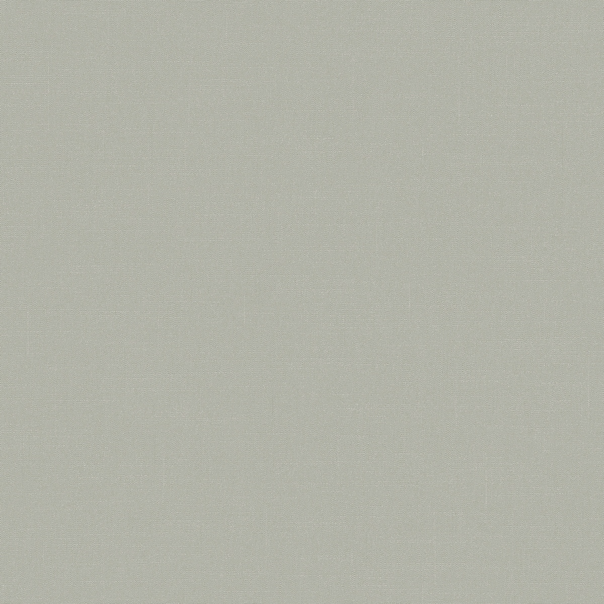 Флизелиновые обои Шервуд 1x10.05