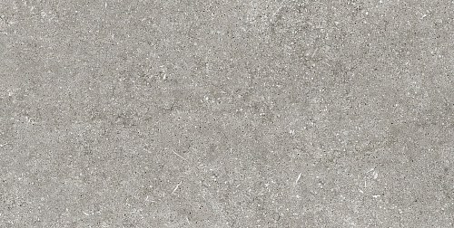 Magnum CDC Grey Fossil Naturale 6mm  Керамогранит 60x120