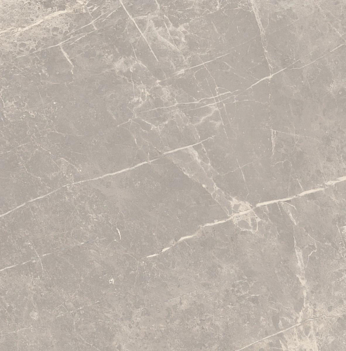 Elemental Stone Grey Dolomia Lucido  Керамогранит 60x60