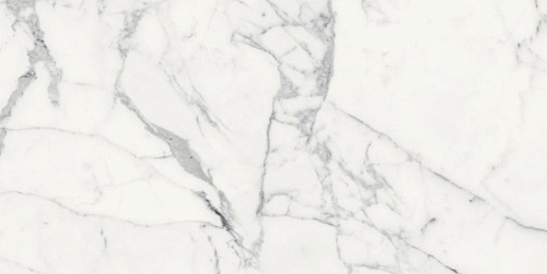 Les Origines De Rex Blanc Matte  Керамогранит 60x120