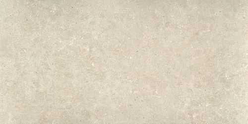 Ulisse Natural Matt.  Керамогранит 59.5x120