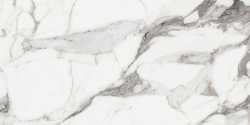 Les Origines De Rex Argent Glossy  Керамогранит 60x120