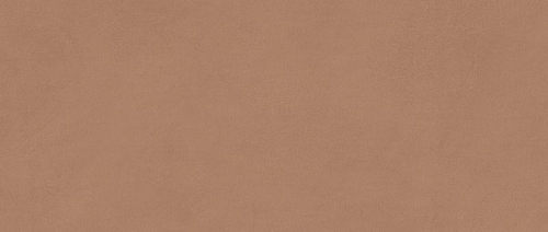 Boost Expression Sienna  Керамическая плитка 50x120