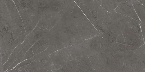 Sensi 900 Stone Grey An3 Rett  Керамогранит 60x120