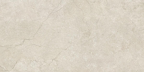 Stone Life Shell 9 Mm  Керамогранит 60x120
