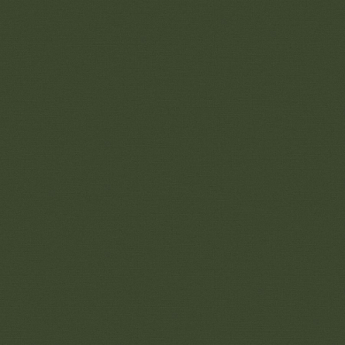 Флизелиновые обои Экватор 1x10.05