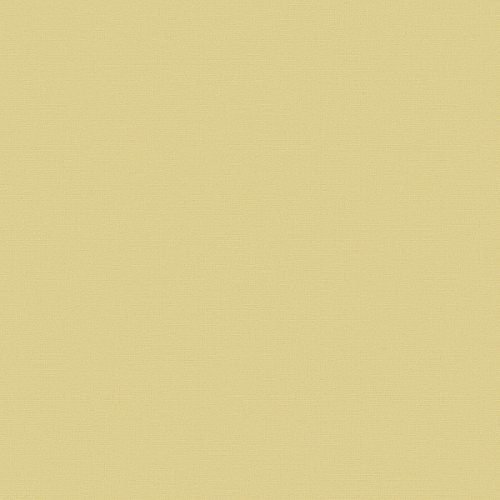 Флизелиновые обои Экватор 1x10.05