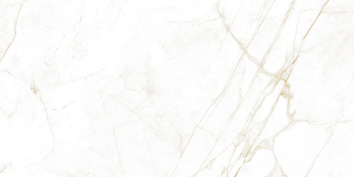 Dual White Nt  Керамогранит 60x120