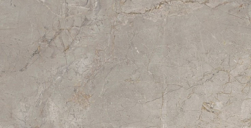 Elements Lux Silver Grey Nat  Керамогранит 60x120