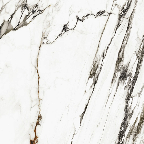 Paonazzo Biondo Silk  Керамогранит 120x120