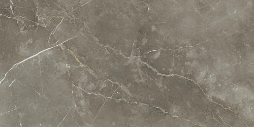 Стеллариус Тус.Грэй Шлиф  Керамогранит 60x120
