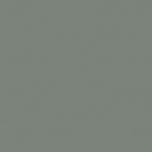 Флизелиновые обои Экватор 1x10.05