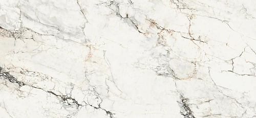 Aesthetica Ae Pao6 278 Lp  Керамогранит 120x278
