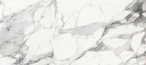 Les Origines De Rex Argent Glossy  Керамогранит 80x180