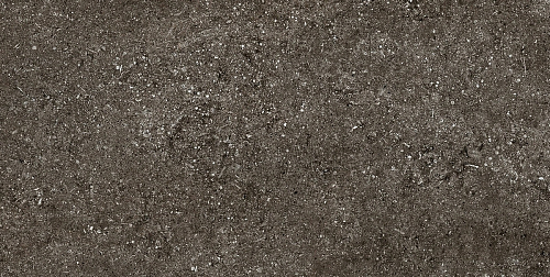 Magnum CDC Brown Fossil Naturale 6mm  Керамогранит 60x120