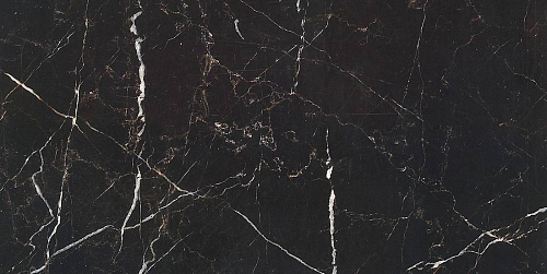 Marble Porcelain Marrone Oriente Pol  Керамогранит 30x60