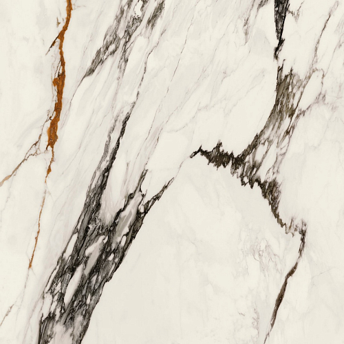 Paonazzo Biondo POL.PV6  Керамогранит 120x120