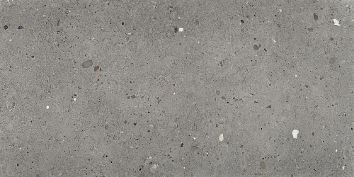 Ego Grigio Scuro  Керамогранит 60x120