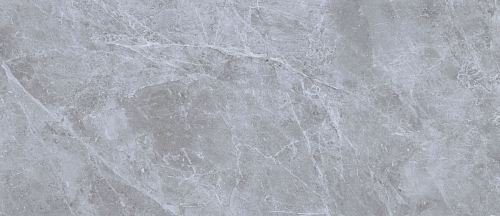 Belgium Grey Polished  Керамогранит 120x280