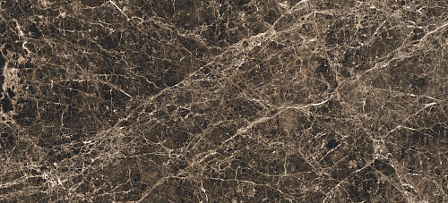 Les Bijoux De Rex Marron Imperial Glossy 6 Mm  Керамогранит 120x280