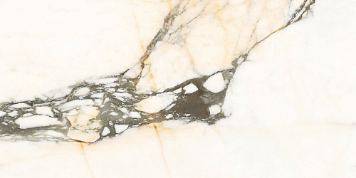 Aesthetica Ae Paz6 12 Lp  Керамогранит 60x120