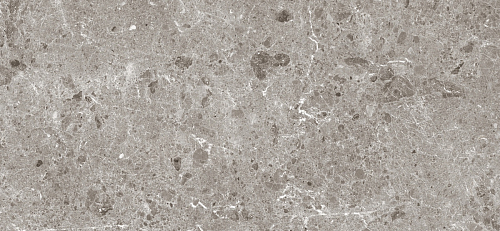 Artic Gris Pulido 5.6 mm  Керамогранит 120x260