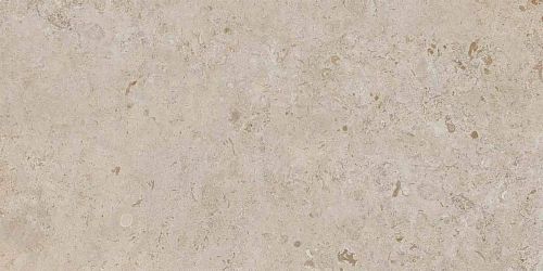 Про Лаймстоун Бежевый Тёмный Натуральный  Керамогранит 60x119.5