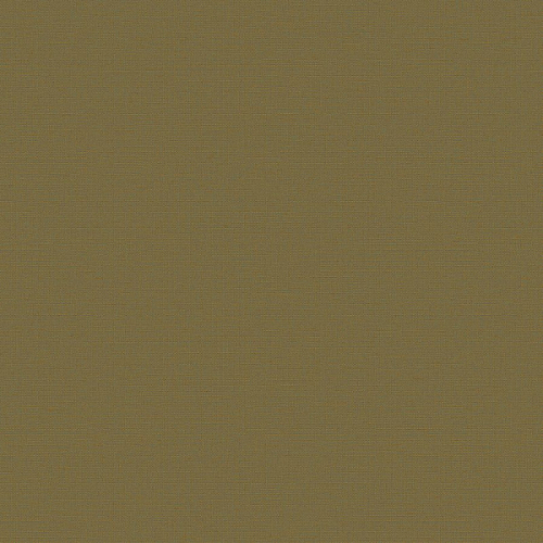 Флизелиновые обои Экватор 1x10.05