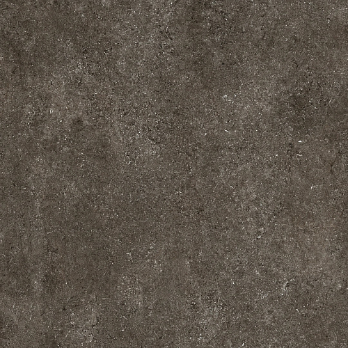 Magnum CDC Brown Fossil Naturale 6mm  Керамогранит 120x120