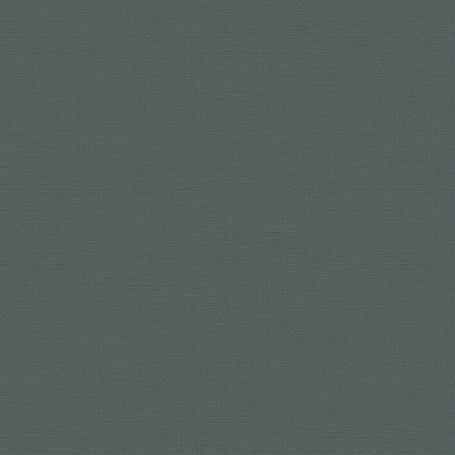 Флизелиновые обои Экватор 1x10.05
